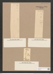 Pleurosigma marinum Donk. (de-Toni-Nr.: Genus 13, Species 1009) Zeichnungen Sammlung Grunow Nr. 2056 (NHMW-BOT-W0368915)